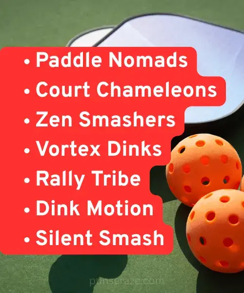 112 Best Pickleball Team Names – Funny Cool Dirty and More 2 Unique Pickleball Team Names