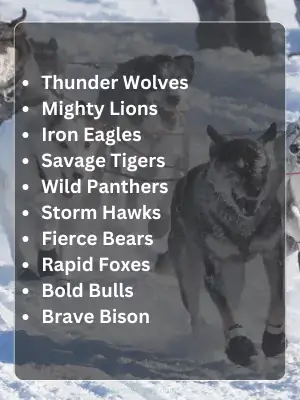 241 Best Animal Team Names for Sports Kids and Competitions 2 Best Animal Team Names