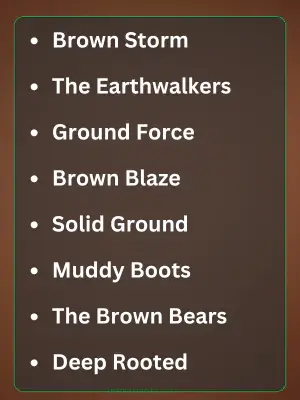 Best Brown Team Names

