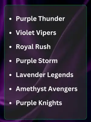 242 Purple Team Names: Best Sporty Gaming & More Ideas 2 Best Purple Team Names