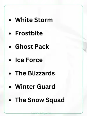 Best White Team Names