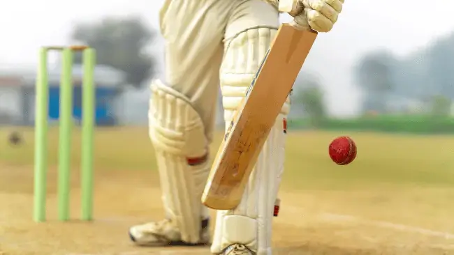 Cricket Team Names
