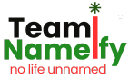 team nameify logo