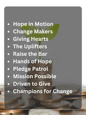 361 Fundraising Team Names to Inspire Every Cause 2 Fundraising Team Names