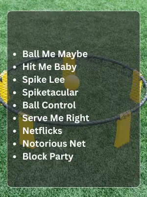 Funny Spikeball Team Names