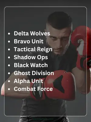 110 Fighter Team Names for Power, Unity & Impact 3 Military fighter team names
