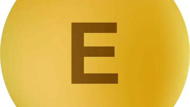 Team Names Starting with E