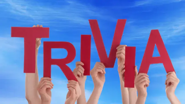 Trivia Team Names