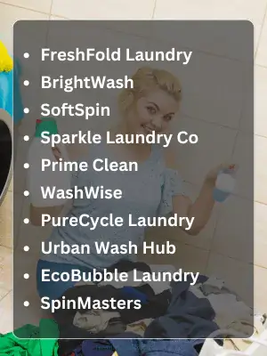 243 Laundry Names to Spark Ideas and Attract Customers 2 Best Laundry Names