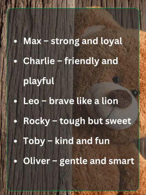 Best list of 100 teddy bear names with Meanings 2 Names for Teddy Bears Male